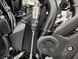 2025 Triumph Tiger 900 Rally Pro Tiger Black