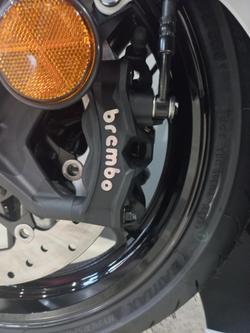 2024 Suzuki Hayabusa (GSX1300R) Hayabusa White