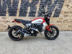 Ducati Scrambler Icon