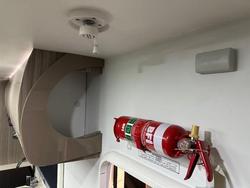 2026 Golf Savannah Maxxi - 2025 Orders Available