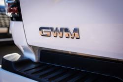 2021 GWM CANNON