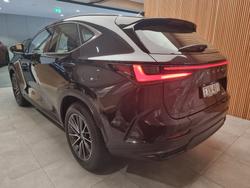 2025 Lexus NX250 Base 2.5L Petrol Automatic Wagon