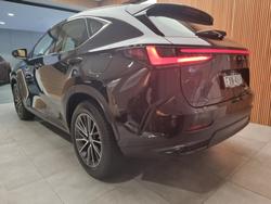 2025 Lexus NX250 Base 2.5L Petrol Automatic Wagon