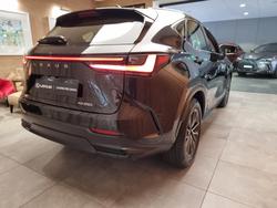 2025 Lexus NX250 Base 2.5L Petrol Automatic Wagon
