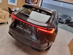 2025 Lexus NX250 Base 2.5L Petrol Automatic Wagon