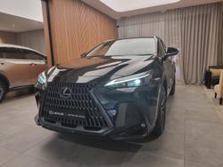 2025 Lexus NX250 Base 2.5L Petrol Automatic Wagon