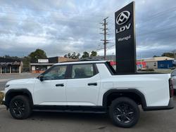 2025 Ldv
Terron 9