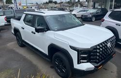 2025 Ldv
Terron 9