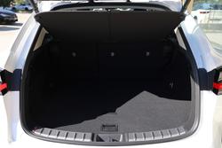 2024 Lexus
                NX250 NX250 Base 2.5L Petrol Automatic Wagon 2M00110 001