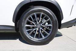2024 Lexus
                NX250 NX250 Base 2.5L Petrol Automatic Wagon 2M00110 001