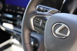 2024 Lexus
                NX250 NX250 Base 2.5L Petrol Automatic Wagon 2M00110 001