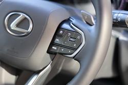 2024 Lexus
                NX250 NX250 Base 2.5L Petrol Automatic Wagon 2M00110 001