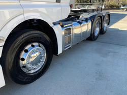 2024 MAN Tgx 26.640 (Dealer Demo) ! White