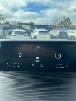 2024 Hyundai
                STARIA LOAD