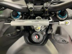 2024 Ducati Streetfighter V4 S Streetfighter Grey