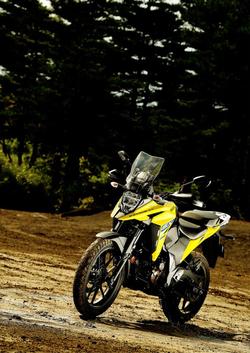 2025 Suzuki V-Strom 250SX V-Strom Yellow