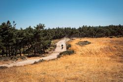 2025 Suzuki V-Strom 650XT (DL650XA) V-Strom Black