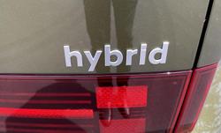 2024 Hyundai
                Santa Fe Hybrid