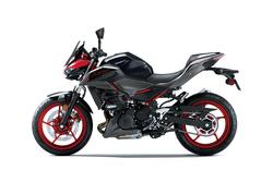 2025 Kawasaki Z500 SE Z Red