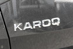 2023 SKODA
                Karoq 110TSI Style