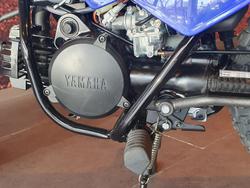 2024 Yamaha PeeWee 50 (PW50) PeeWee Blue