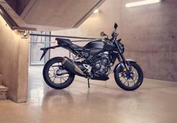 2023 Honda CB300R (CB300RA) CB300 Blue