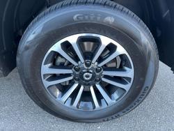 2024 GWM
                Cannon Alpha Ultra