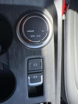 2024 GWM Ute Cannon-L