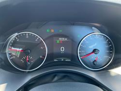 2024 GWM Ute Cannon-L