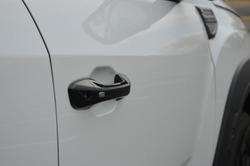 2024 LDV
T60 Max PLUS