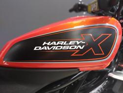 2024 Harley-Davidson X 350 X Orange