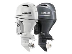 2025 Stacer 519 Seamaster SE