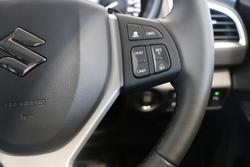 2024 Suzuki
S-Cross Plus