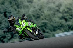 2025 Kawasaki Ninja ZX-4RR KRT Edition Ninja Green