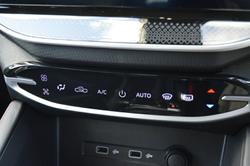 2024 LDV
                T60 Max LUXE