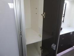 2024 Windsor Simpson