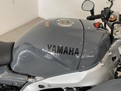 2024 Yamaha XSR900 GP XSR Grey