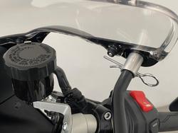 2024 Yamaha XSR900 GP XSR Grey