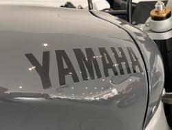 2024 Yamaha XSR900 GP XSR Grey