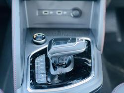 2024 LDV
                T60 MAX LUXE