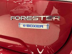2024 Subaru
Forester Hybrid S