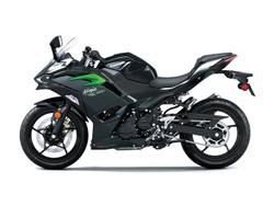 2025 Kawasaki Ninja 500 (EX500G) Ninja Black