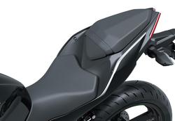 2025 Kawasaki Ninja 500 (EX500G) Ninja Black