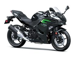 2025 Kawasaki Ninja 500 (EX500G) Ninja Black