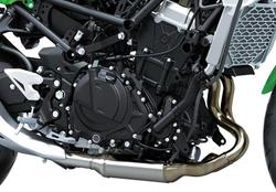 2025 Kawasaki Ninja 500 (EX500G) Ninja Silver
