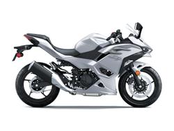 Kawasaki Ninja 500 (EX500G)
