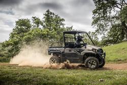 2025 Kawasaki Mule Pro-MX Special Edition (KAF700E) Mule Gold