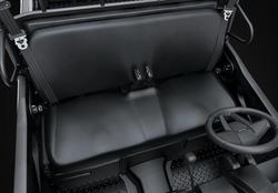 2025 Kawasaki Mule Pro-MX Special Edition (KAF700E) Mule Gold