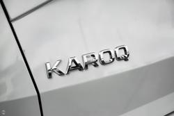 2024 SKODA
                Karoq 110TSI Select