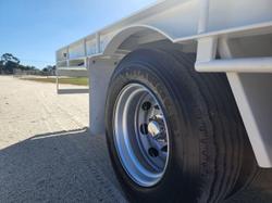 2025 Beavertail Single Axle Pig